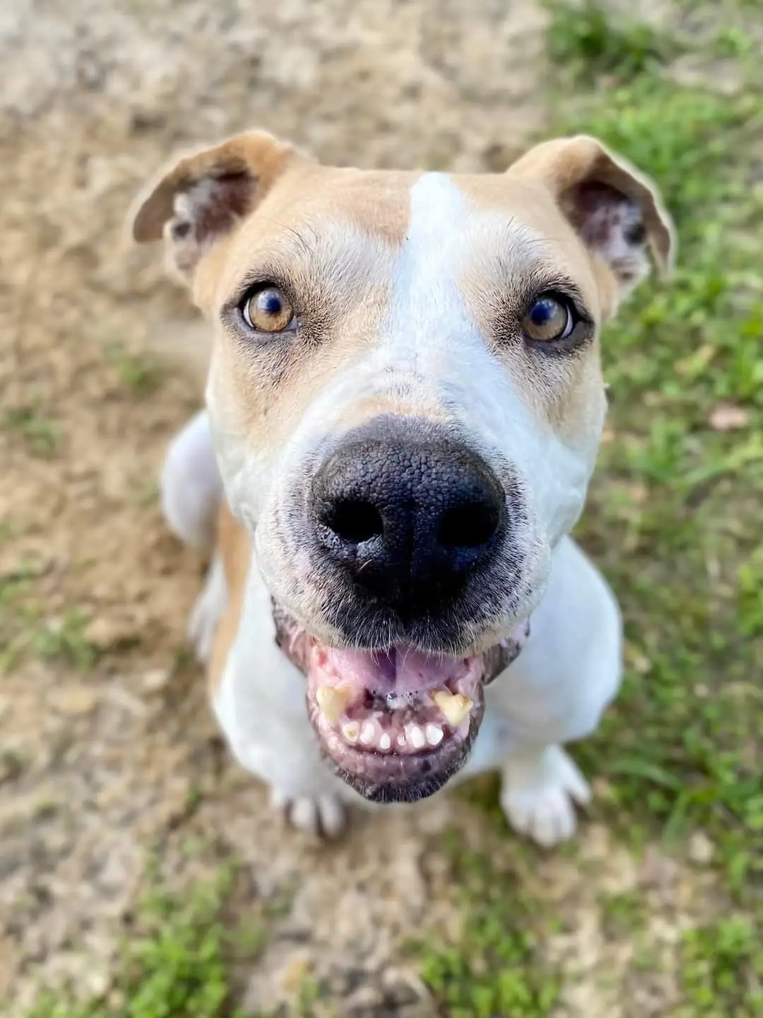 FB IMG 1641227295243