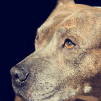 HC article for website