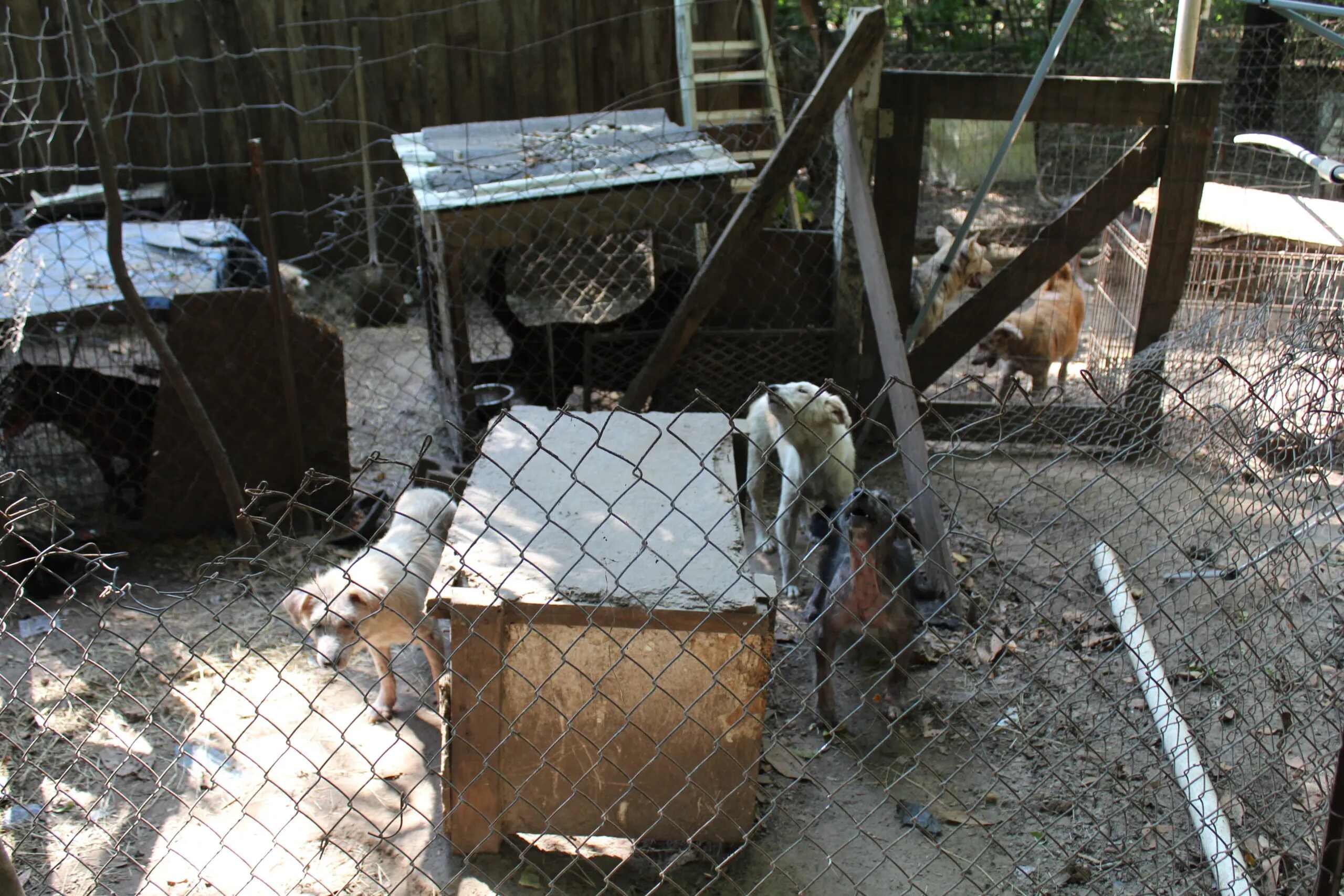 IMG 0333 1 scaled (2)