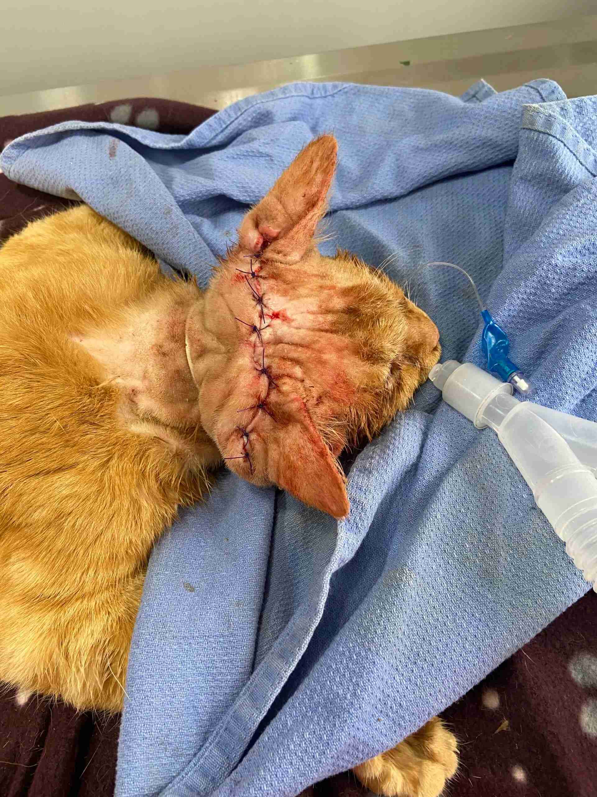 IMG 2759 scaled (1) (1)