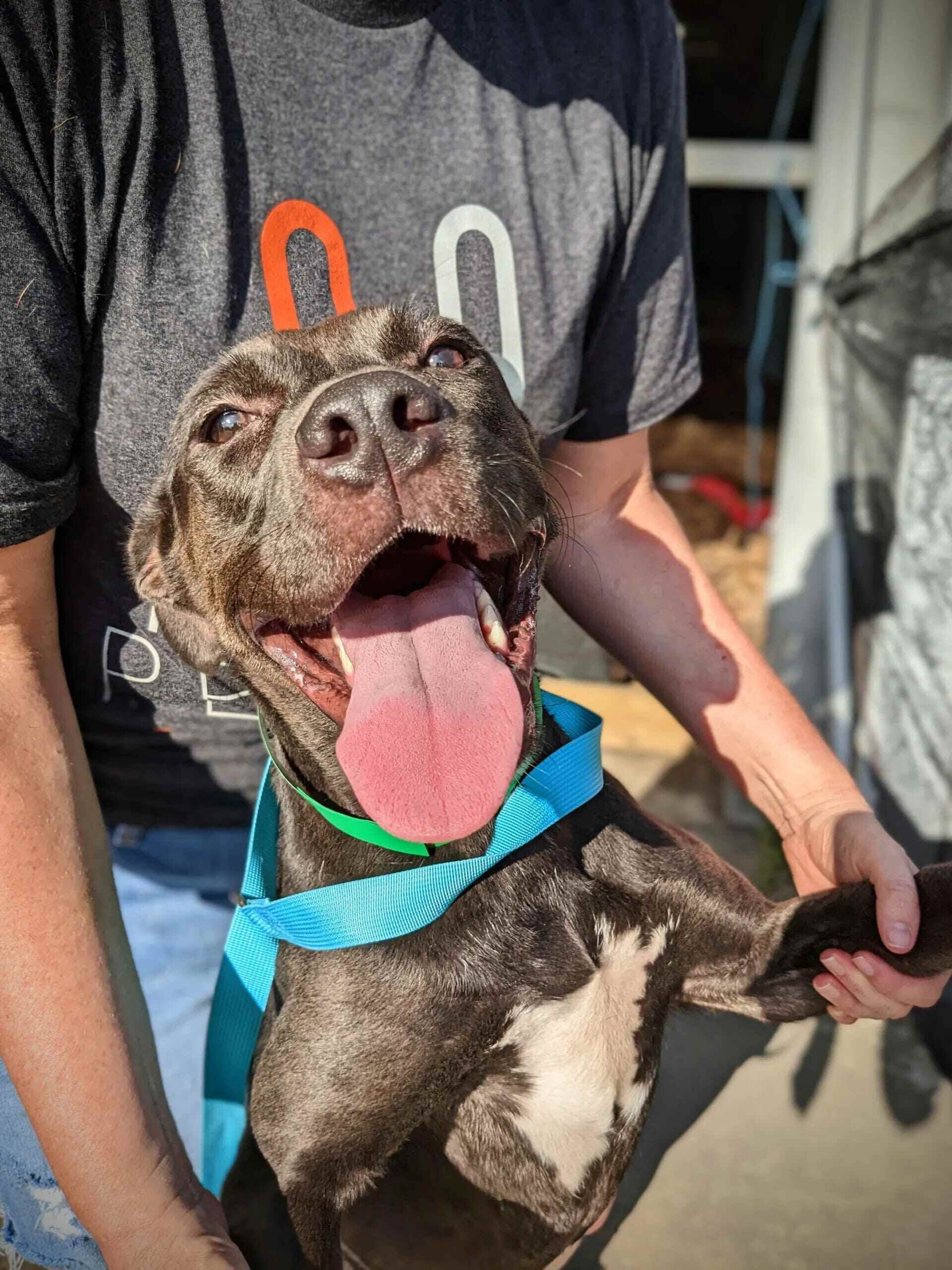 PXL 20220916 1429181222 scaled