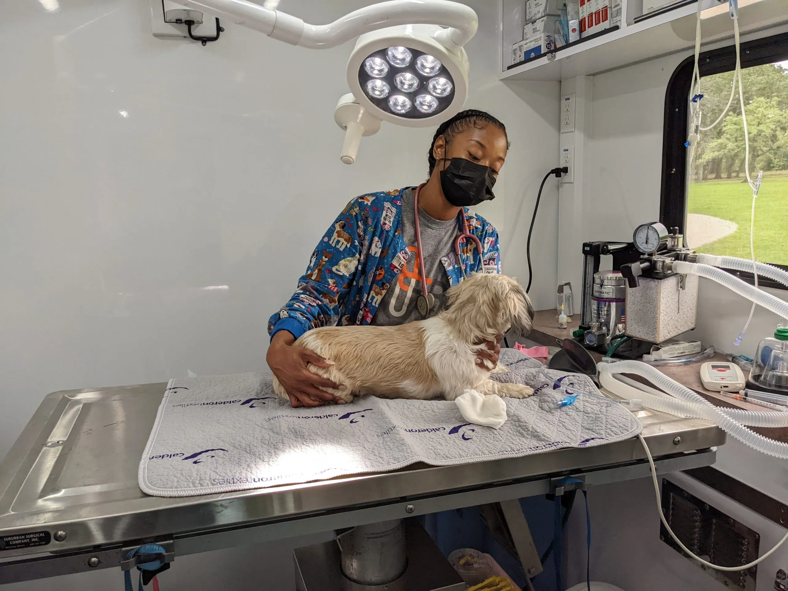 PXL 20220426 181133859 scaled