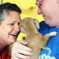 Pet Protect for Website