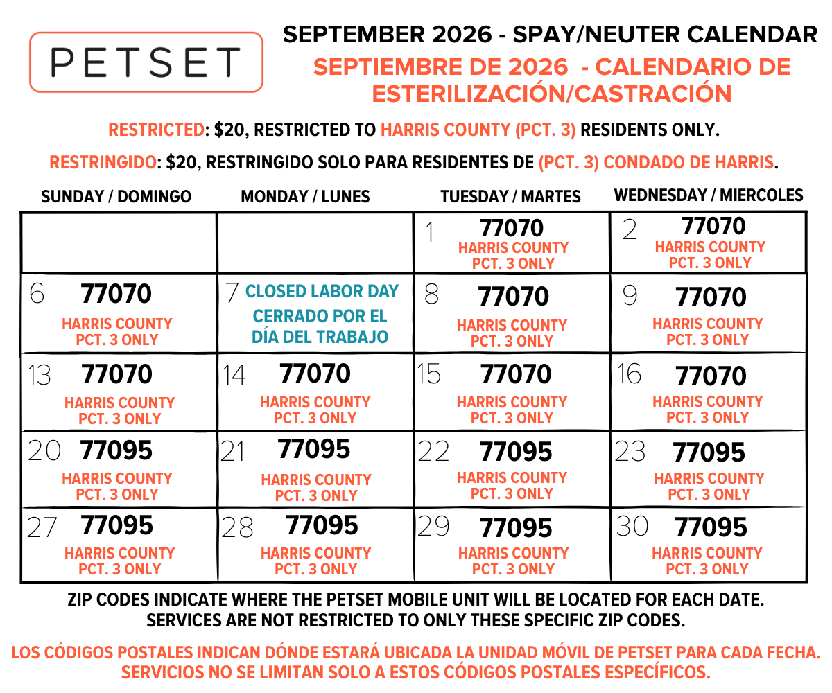 SEPT 2026 English Spanish
