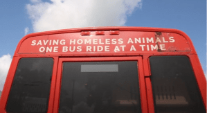 SaveHomelessAnimals 1