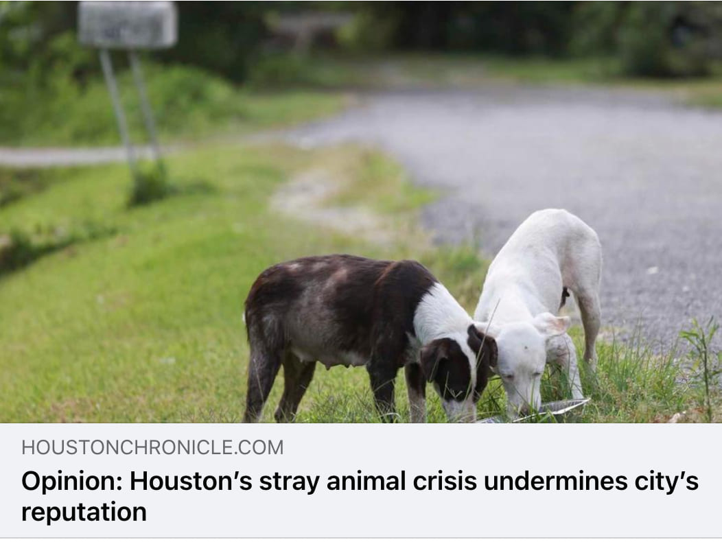 Screen Shot 2022 07 18 at 9.42.23 AM (1)