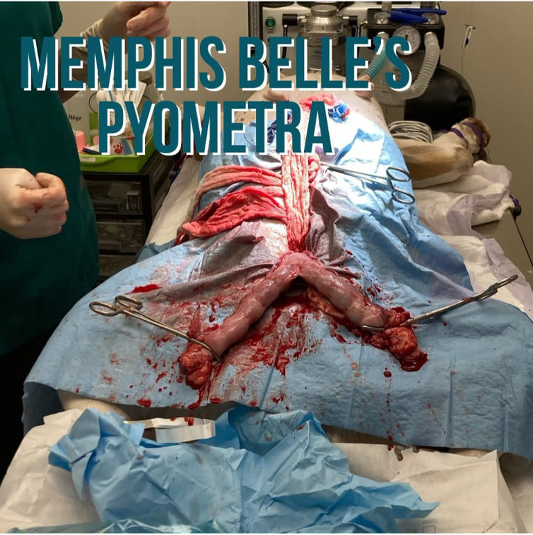 Screenshot 20220103 102541 (1)