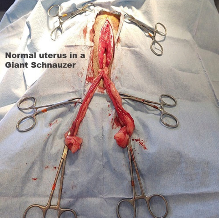 Screenshot 20220103 102601 (1)