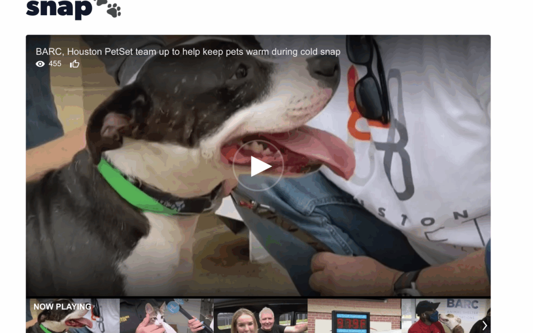 BARC, Houston PetSet team up to help keep pets warm during cold snap