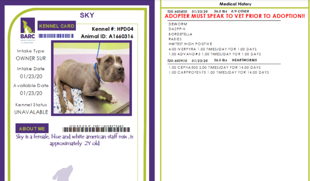 Sky Kennel Card