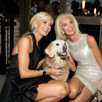 T and T with Bretagne