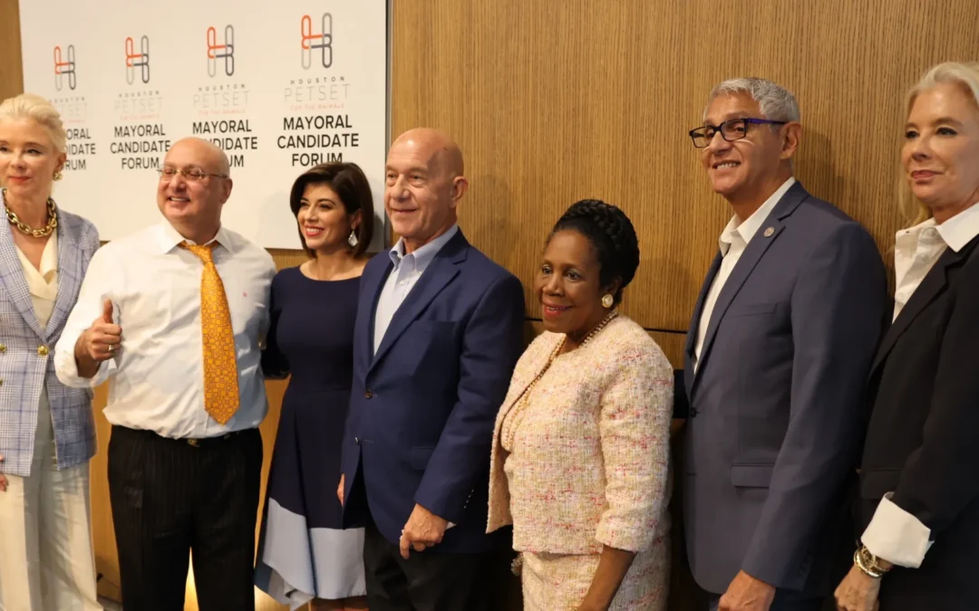 Your Vote Is Their Voice – Vote For The Animals