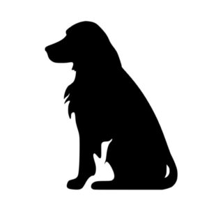 dogs 1679865520601357 600x600