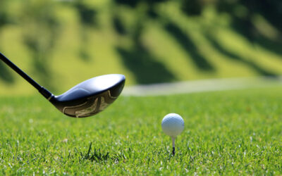 Birdies For Charity: Make A Pledge For Houston Petset!