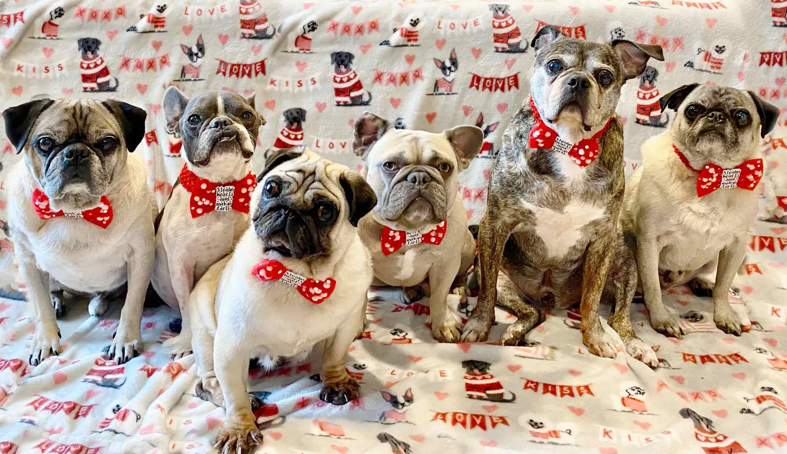 image3 3 scaled (1) (1)