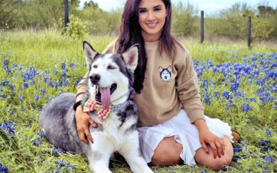 The Story of Max the H-Town Husky: A Houston PetSet Success Story