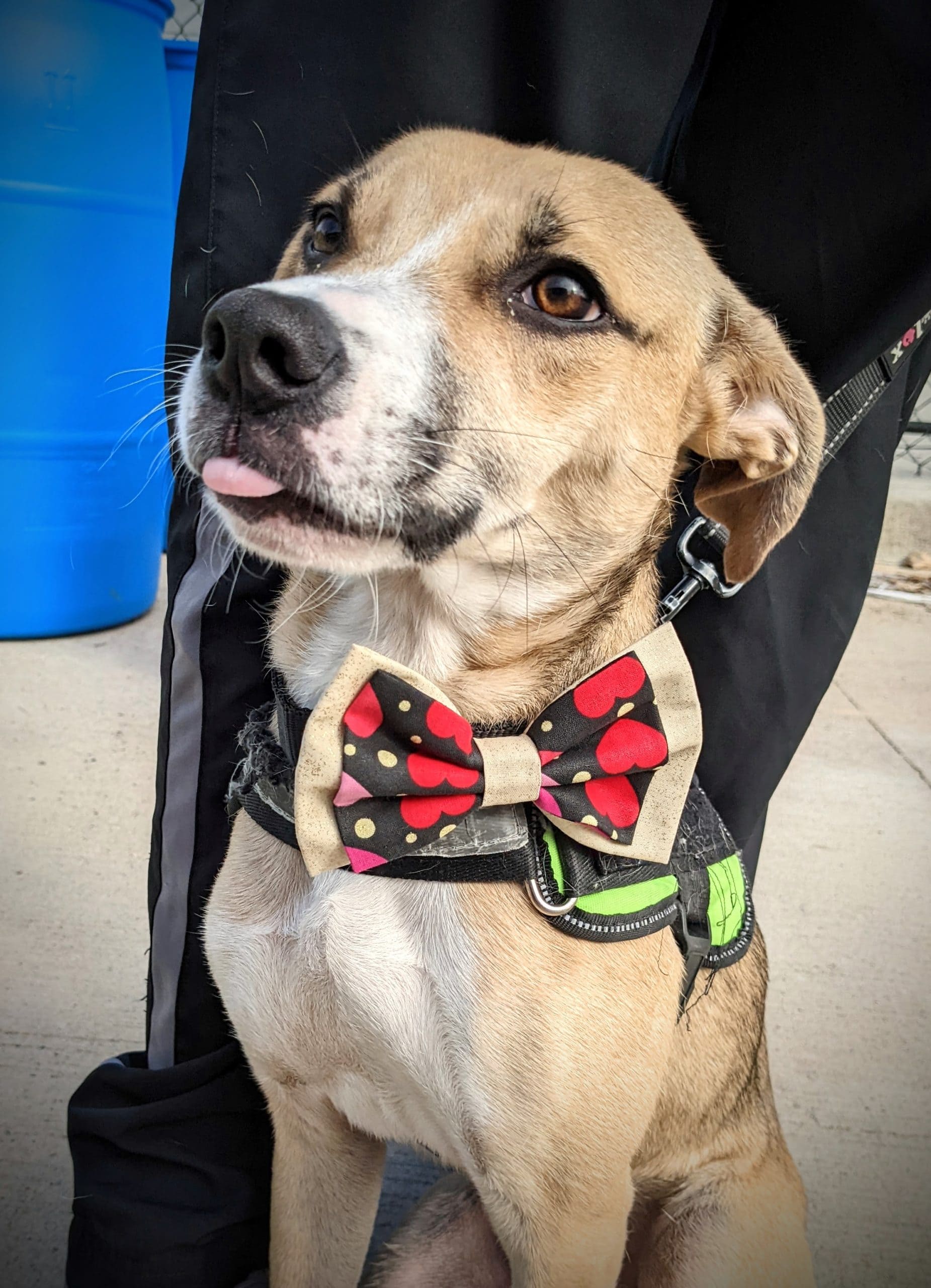 original 428108de ce48 4aa1 890c ea5437245863 PXL 20220218 153159690 scaled